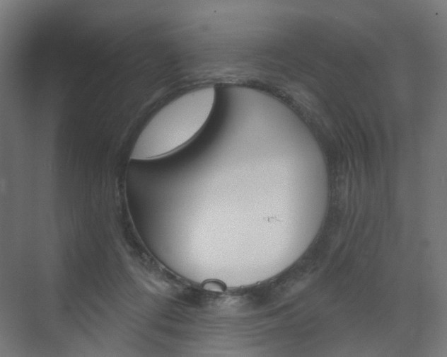 X0000073390312200607280916