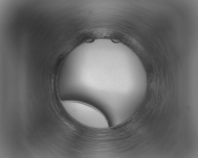 X0000073390315200607280916
