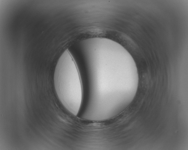 X0000073390320200607280916