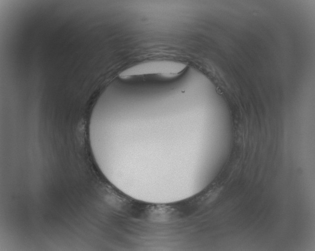 X0000073390321200607280916