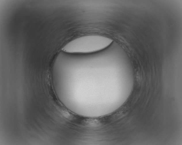 X0000073390322200607280915