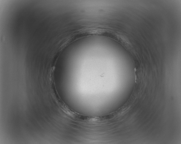 X0000073390325200607280915
