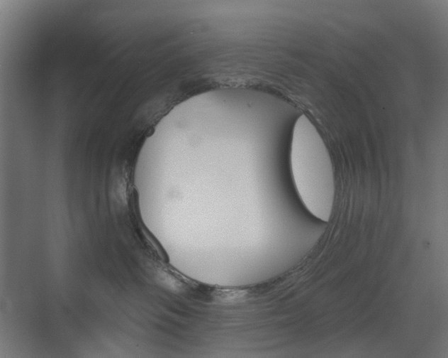 X0000073390334200607280915