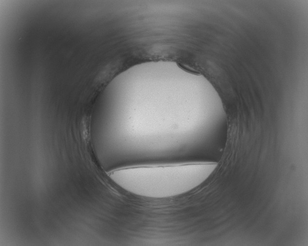 X0000073390335200607280915