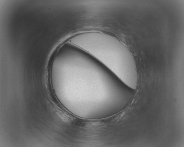 X0000073390342200607280915