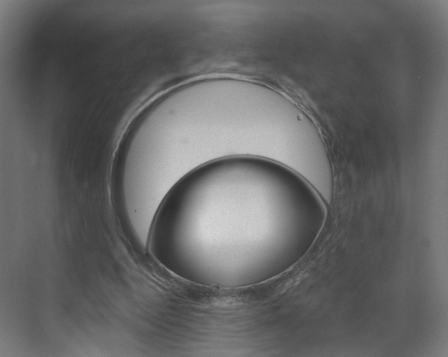 X0000073390344200607280915