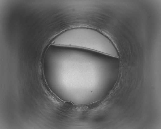 X0000073390345200607280915