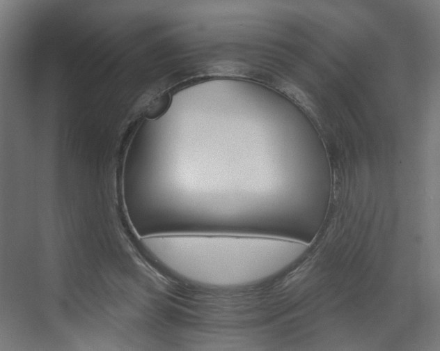 X0000073390349200607280915