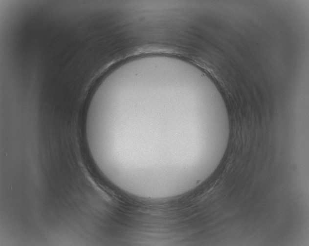 X0000073390352200607280915