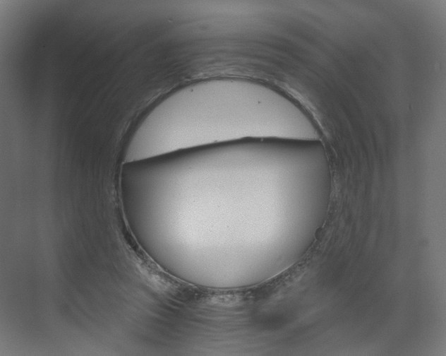 X0000073390353200607280915