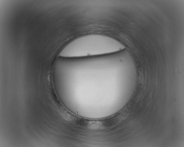 X0000073390363200607280915