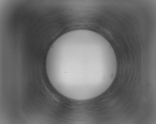 X0000073390364200607280915