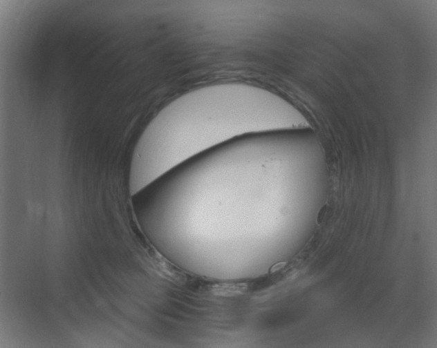 X0000073390373200607280915