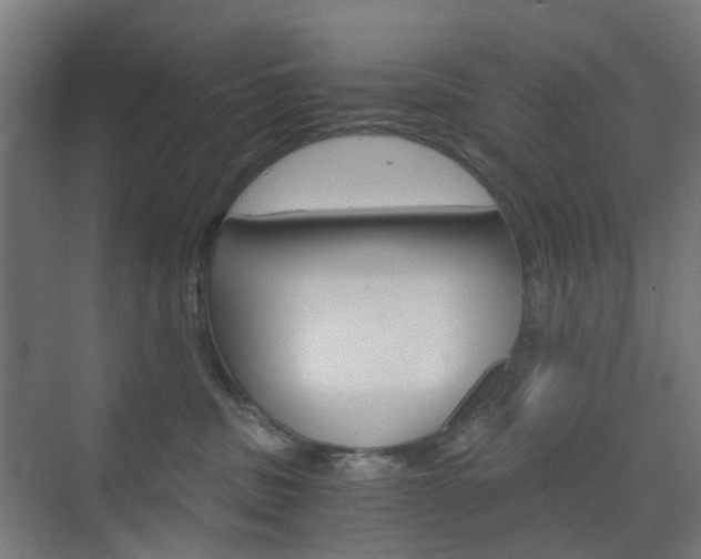 X0000073390379200607280915