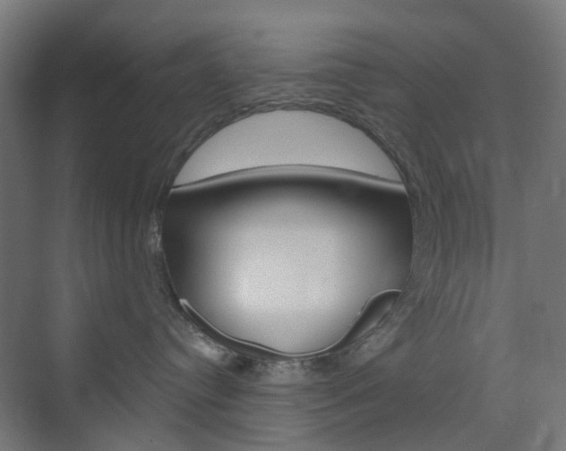 X0000073390384200607280915