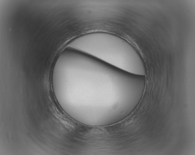 X0000073390386200607280914