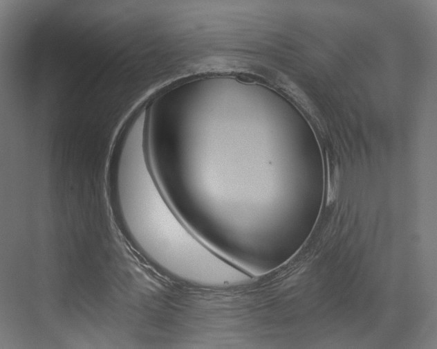 X0000073390387200607280914
