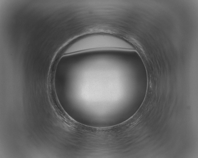 X0000073390388200607280914