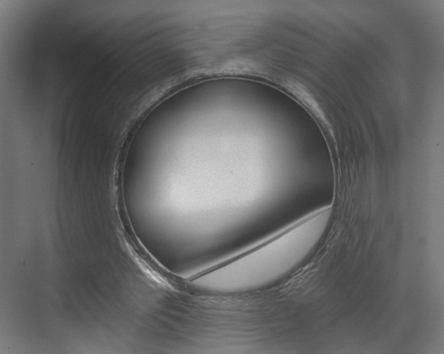 X0000073390389200607280914