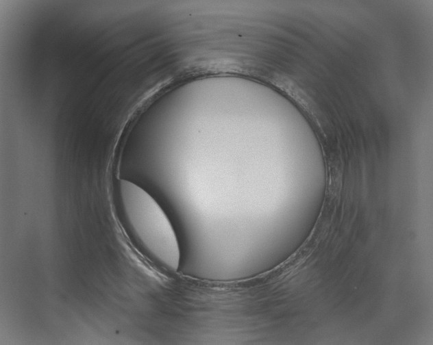 X0000073390390200607280914