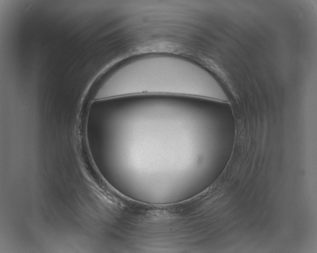X0000073390392200607280914