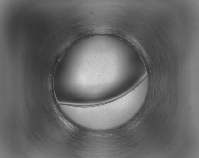 X0000073390393200607280914