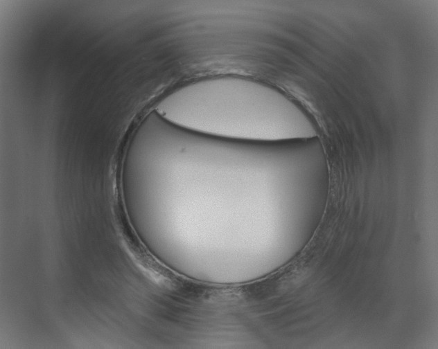 X0000073390398200607280914