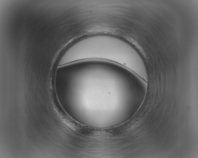 X0000073390399200607280914