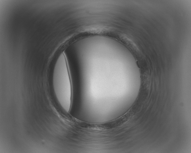 X0000073390400200607280914