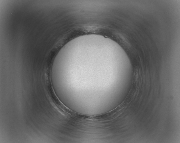 X0000073390408200607280914