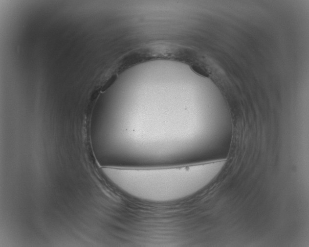 X0000073390413200607280914