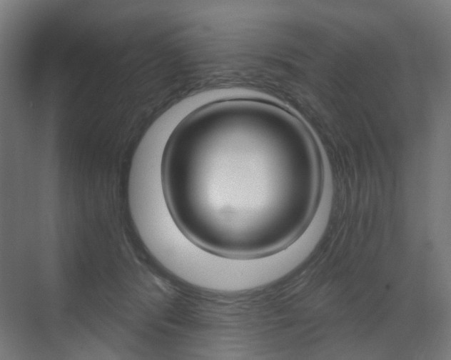 X0000073390416200607280914