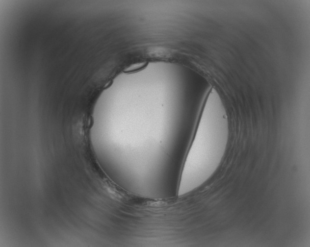 X0000073390424200607280914