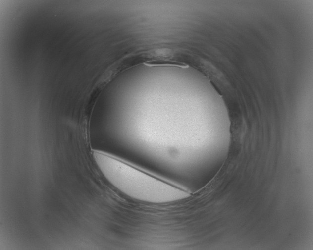 X0000073390425200607280914