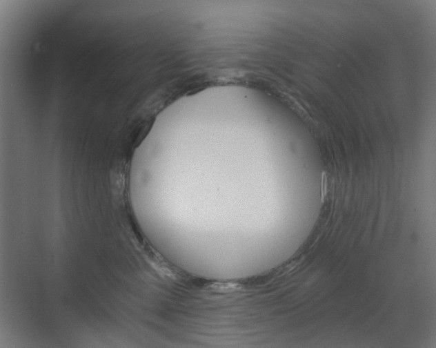X0000073390427200607280914