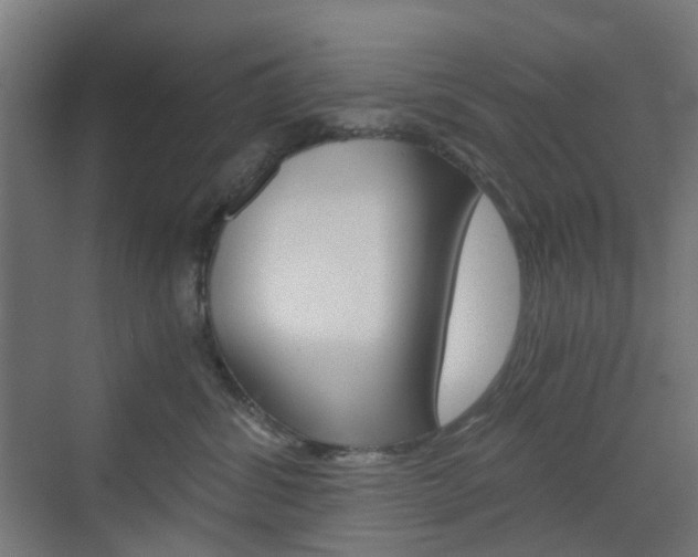 X0000073390428200607280914