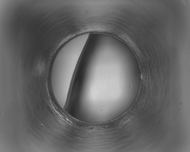 X0000073390434200607280913
