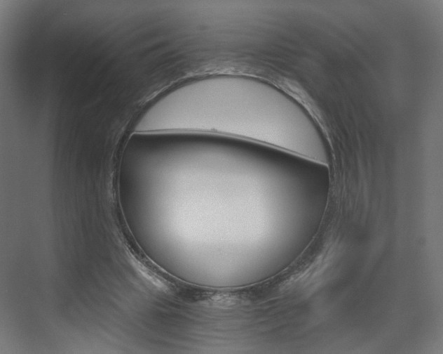 X0000073390441200607280913