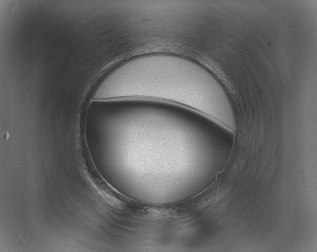 X0000073390442200607280913