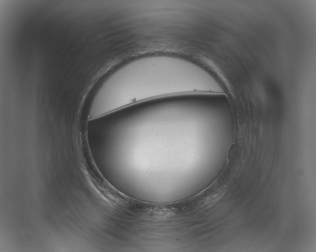 X0000073390443200607280913