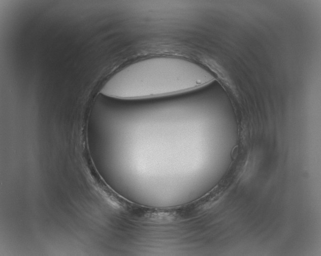 X0000073390449200607280913