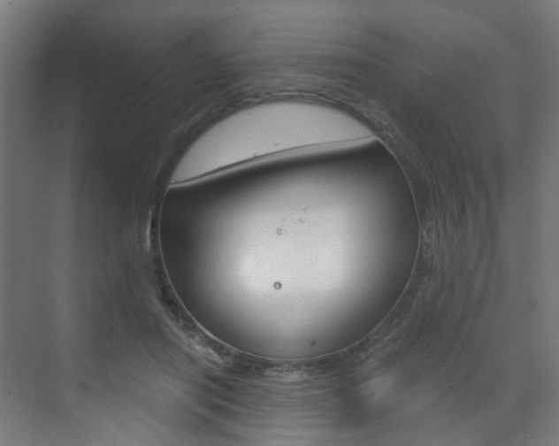 X0000073390454200607280913