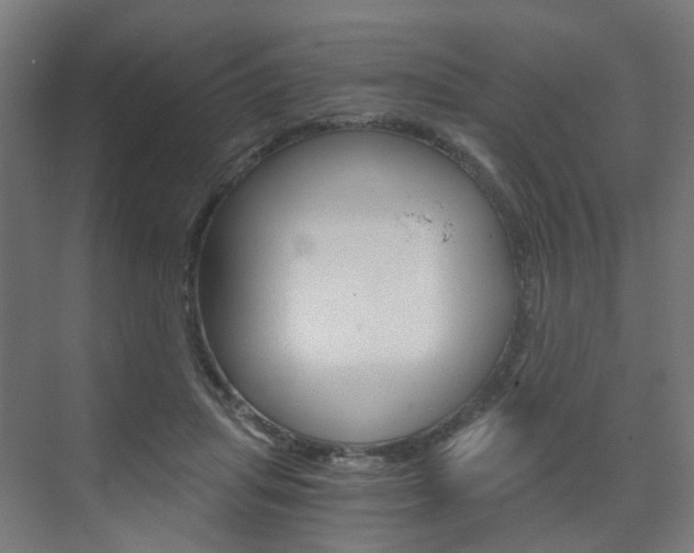 X0000073390455200607280913