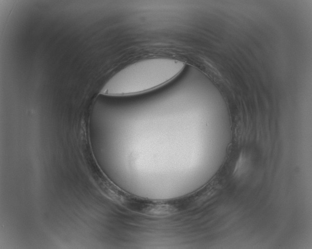 X0000073390459200607280913