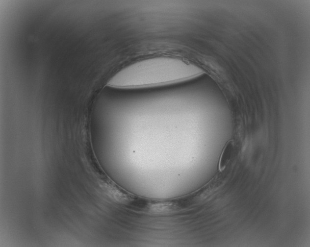 X0000073390461200607280913