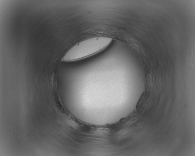 X0000073390463200607280913