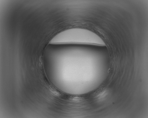 X0000073390467200607280913
