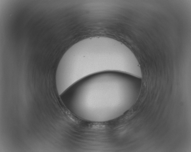 X0000073390471200607280913