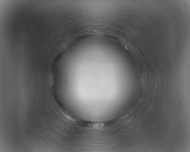 X0000073390474200607280914
