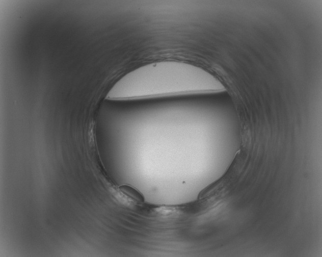 X0000073390477200607280914